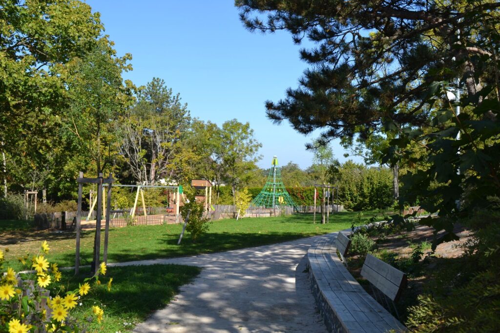 Parc des Cèdres Chagny - 1