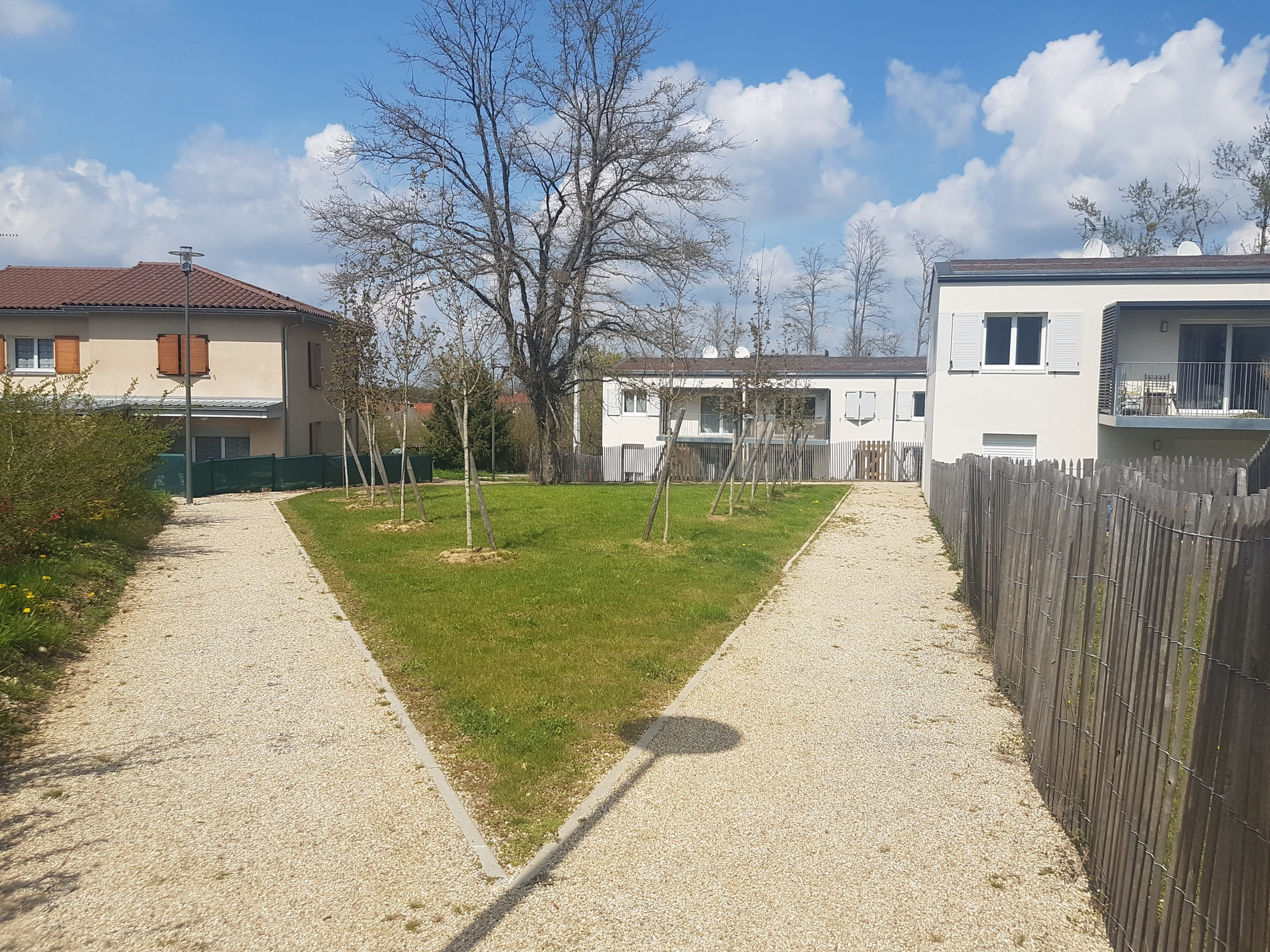 Ecoquartier à Buellas - 1