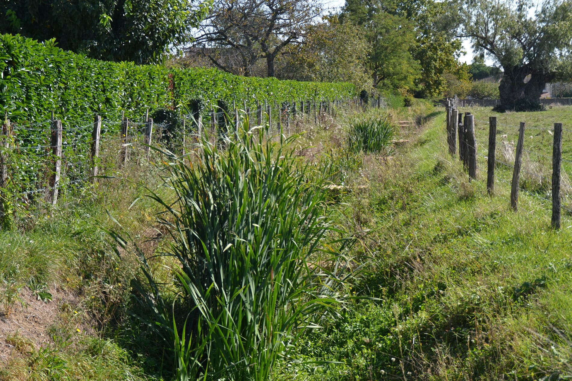 Gestion inondations - Farges - 1