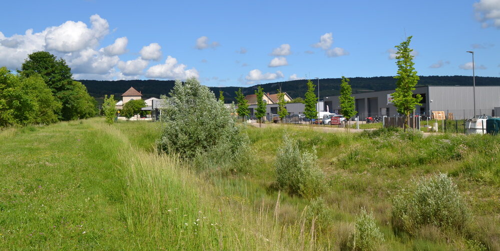 projet paysager bassin retention